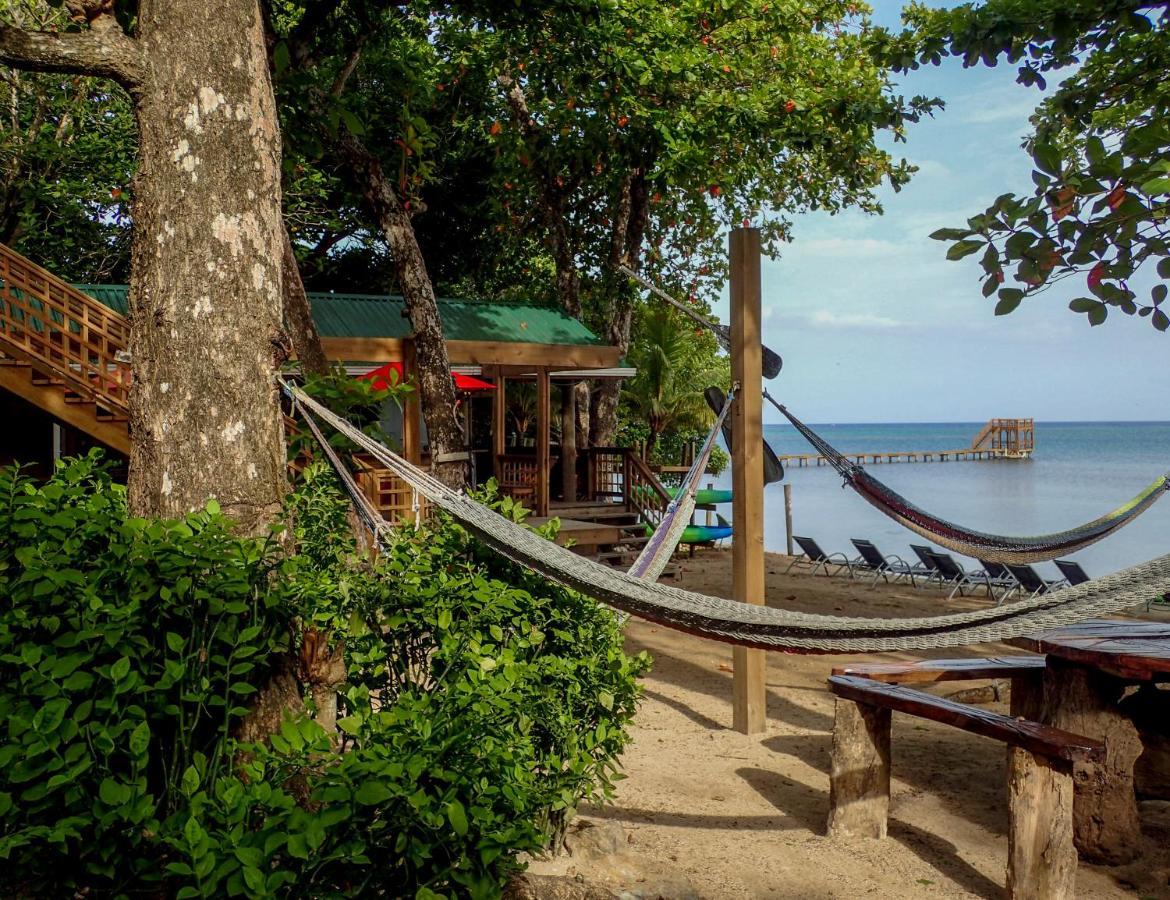 Villa Blue Island Divers Casita Azul à Sandy Bay Extérieur photo